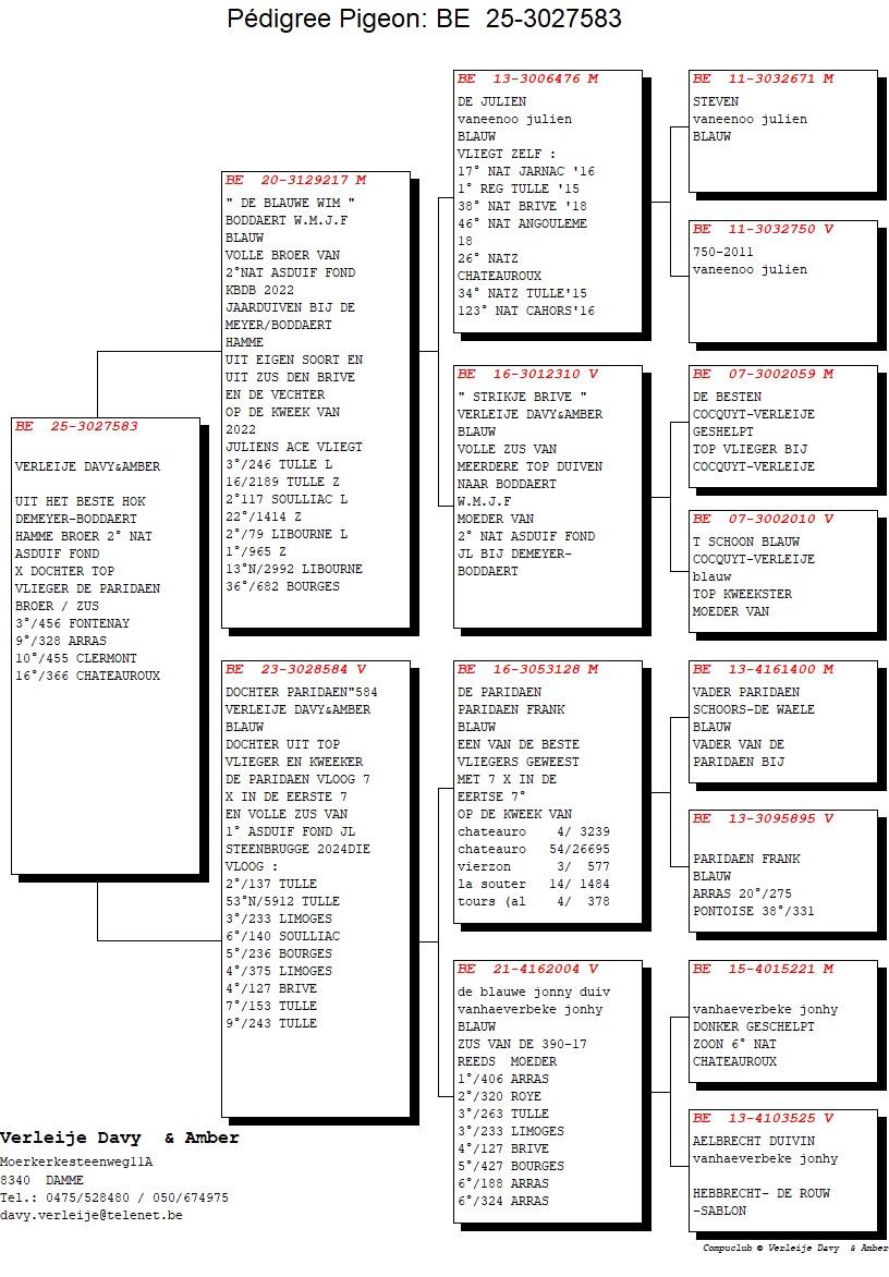 pedigree De Blauwe Wim x Dochter Paridaen 