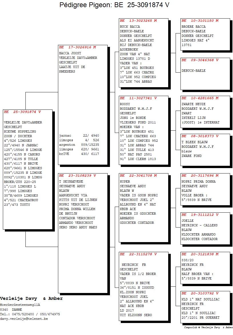 pedigree Bacca Joost x T Seynaeveke 