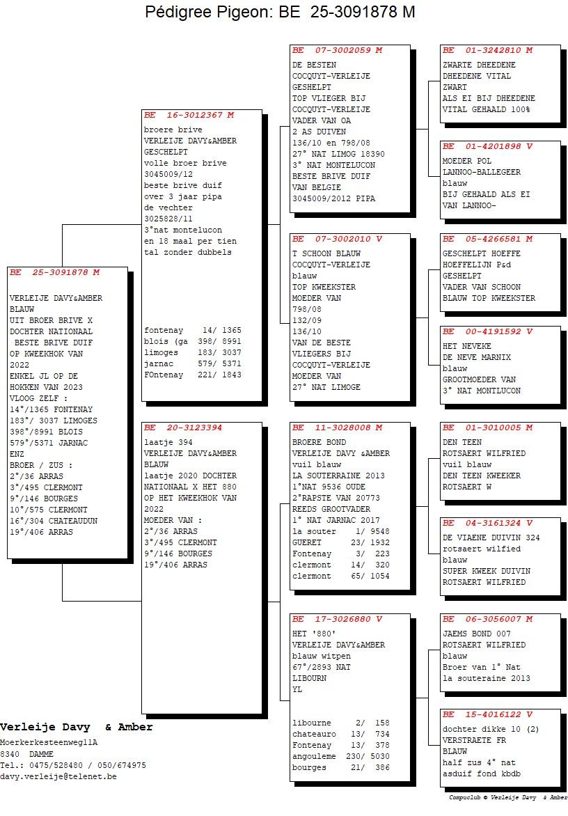 pedigree Broer Brive x Laatje 394 