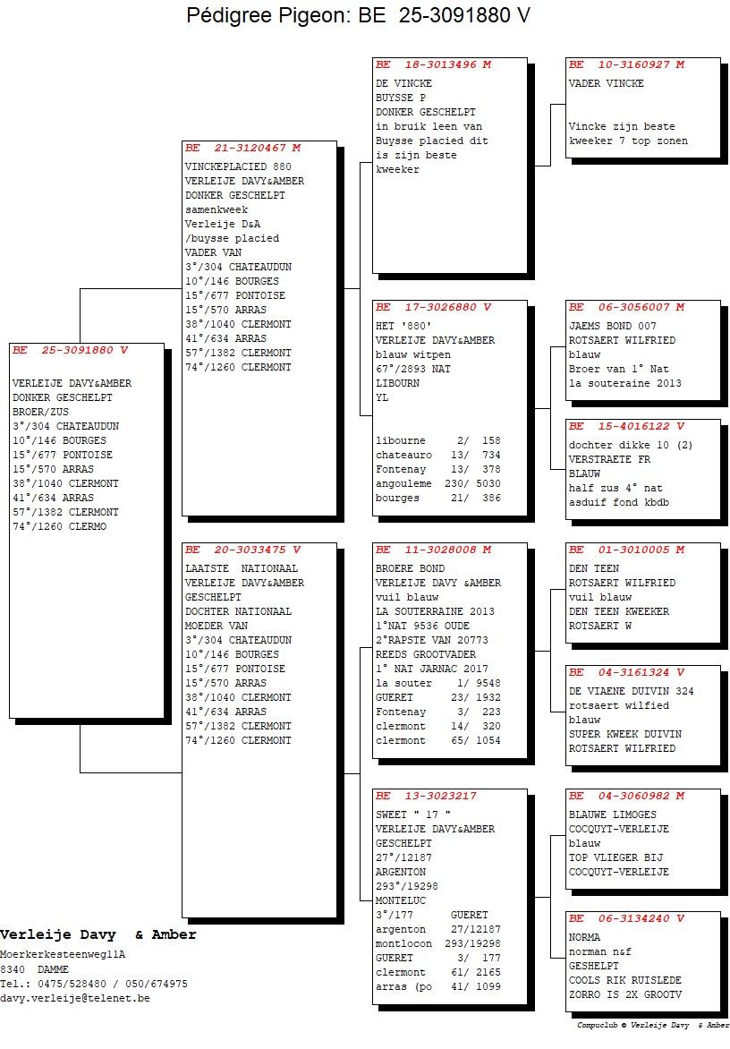 pedigree Vinckeplacied 880 x Laatste Nationaal 