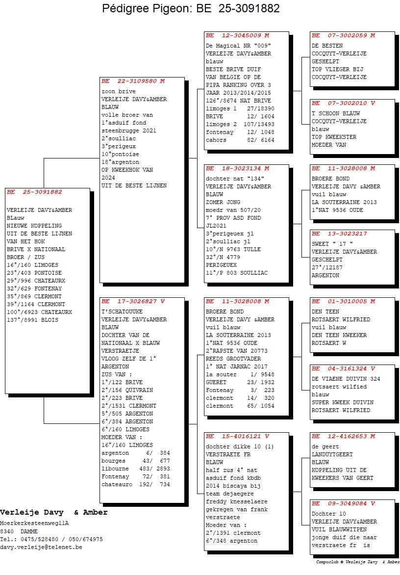 pedigree Zoon Brive x T Schatouuke 