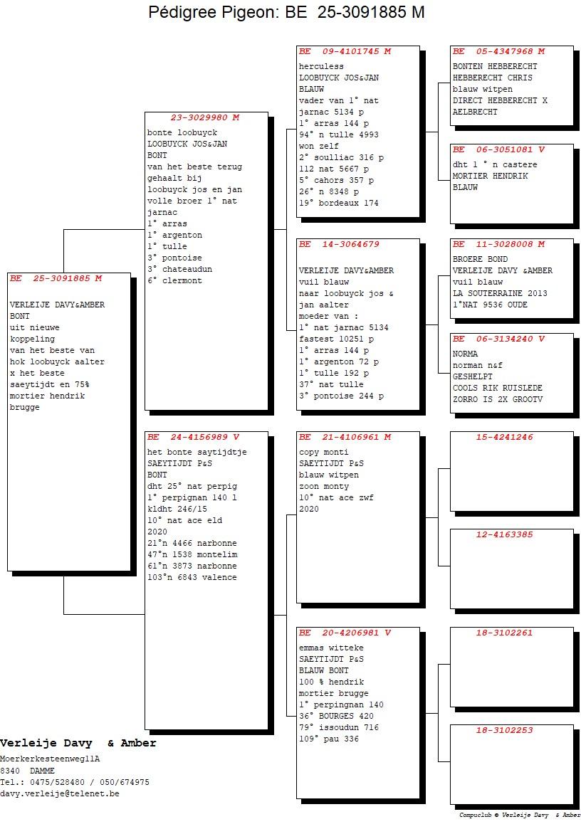 pedigree Bonte Loobuyck x Het Bonte Saytijdje 