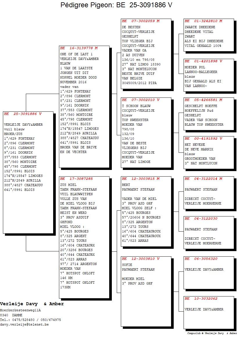 pedigree Zoon De Besten x Zus Miel 