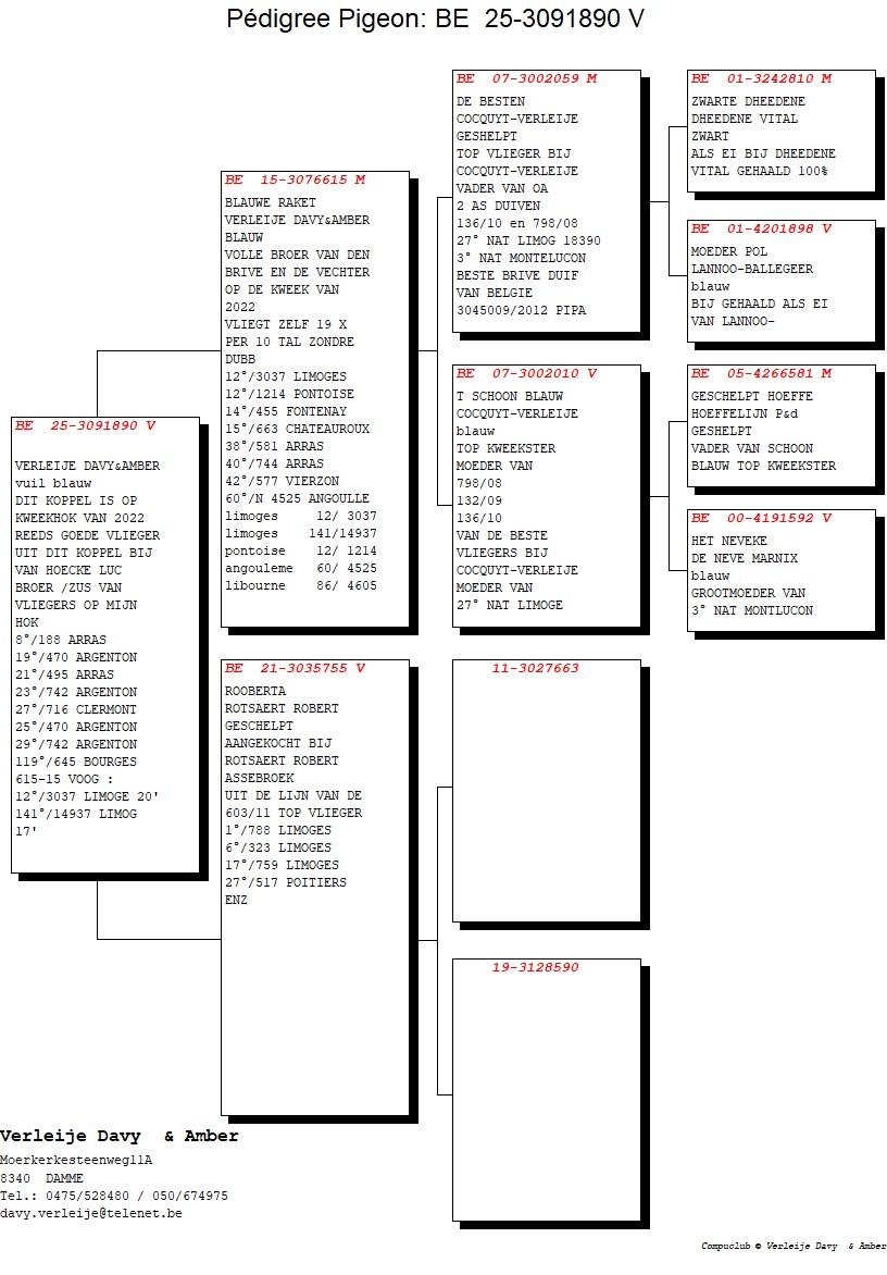 pedigree Blauwe Raket x Rooberta 