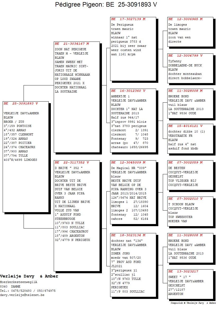 pedigree Zoon 1° Nat Perigueux x De Brive 352 