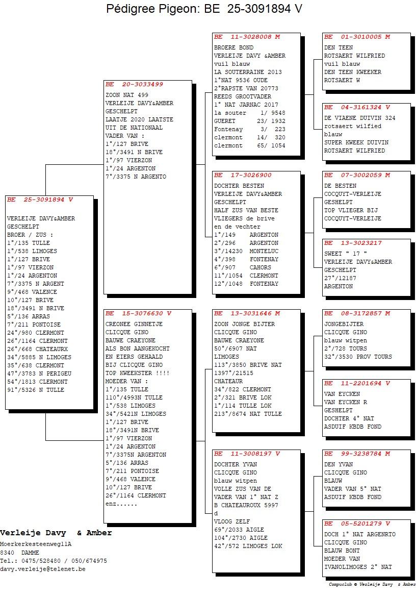 pedigree Zoon 1° Nat La Souterraine x Creonee Ginnetje 
