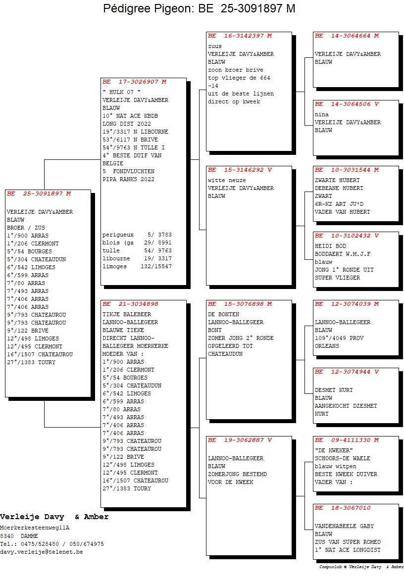 pedigree Hulk 07 x Tikje Balebeer 