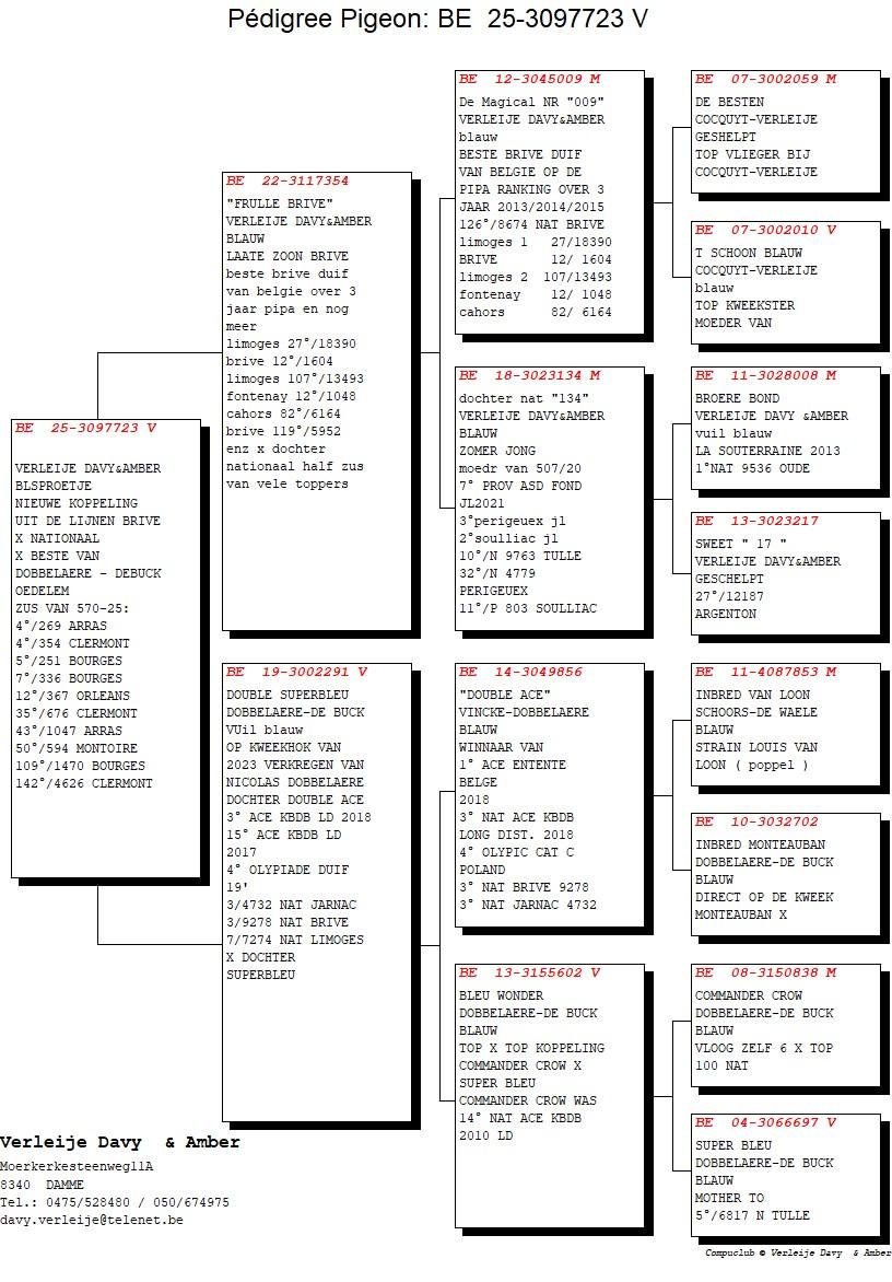 pedigree Frulle Brive x Double Superbleu 