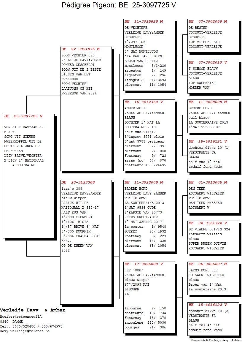 pedigree Zoon Vechter 875 x Laatje 388 