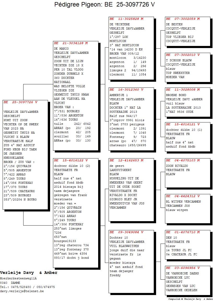 pedigree De Mario x Dochter Dikke 10 