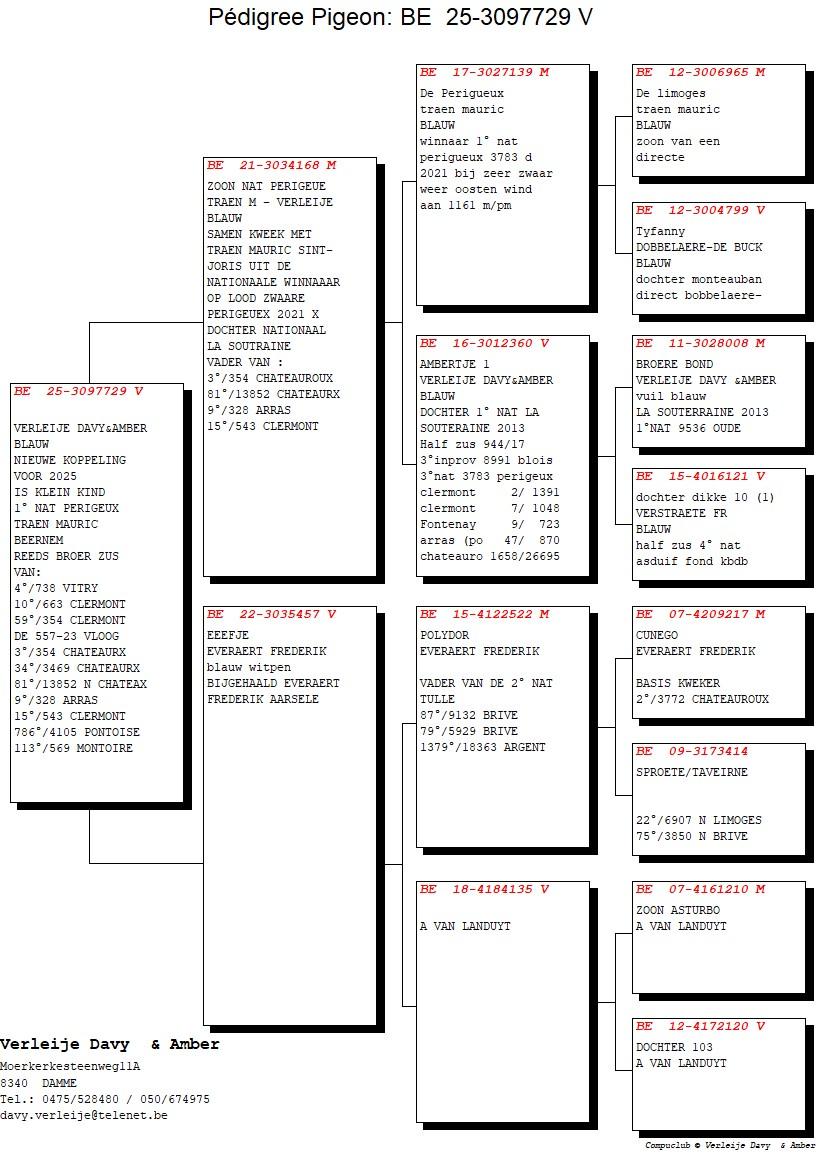pedigree Zoon Nat Perigueux x Eefje 