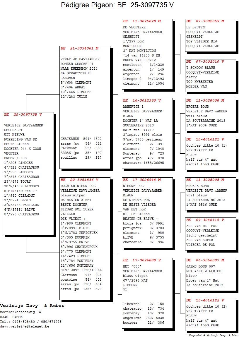 pedigree Zoon 3° Nat x Dochter Nieuwe Pol 