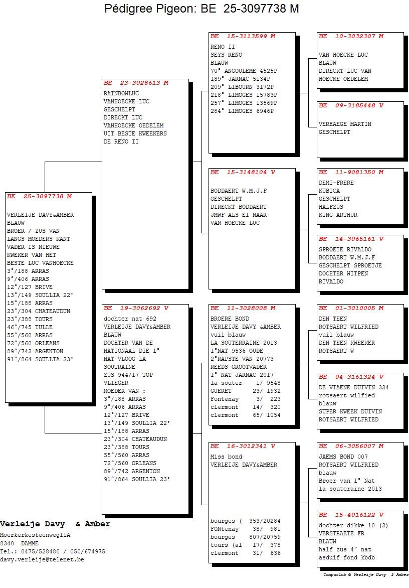 pedigree Rainbowluc x Dochter nat 692 