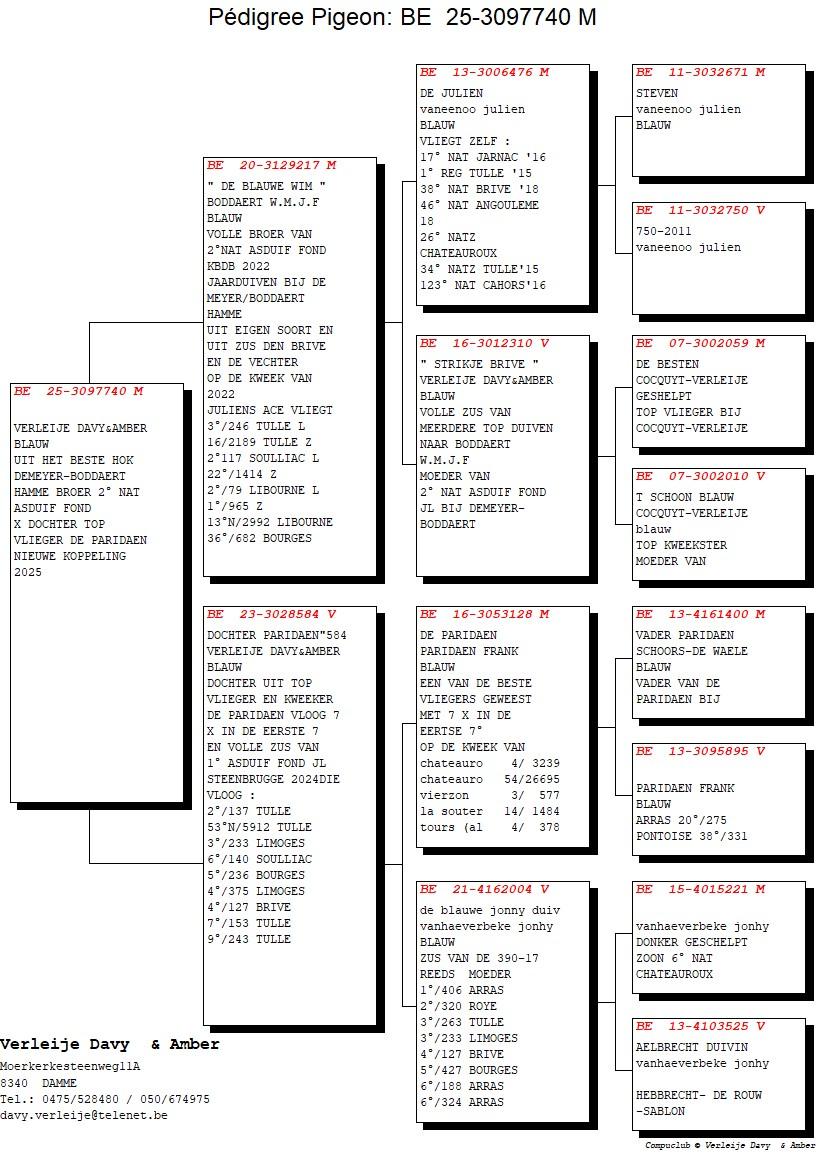 pedigree De Blauwe Wim x Dochter Paridaen 