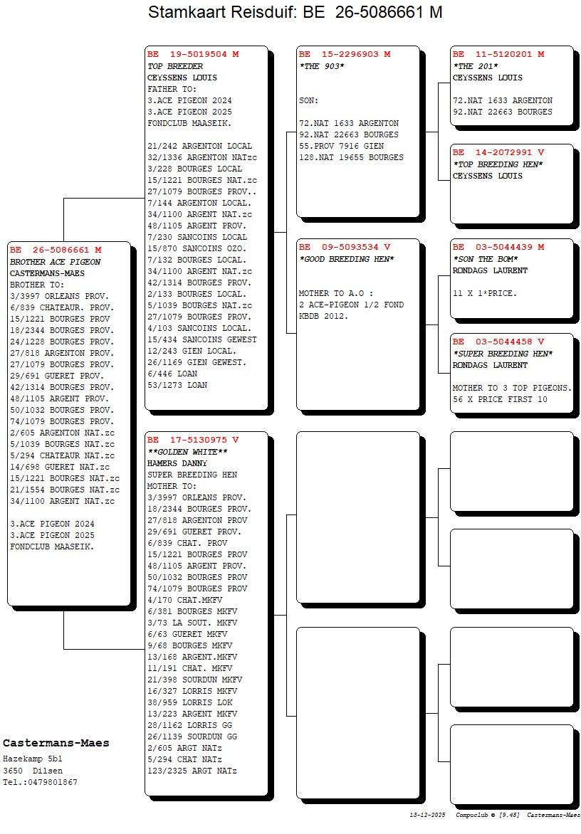 pedigree Brother Ace Pigeon 