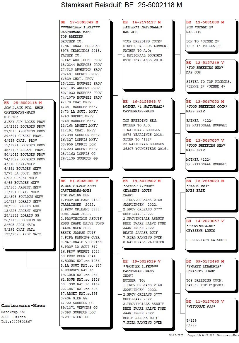 pedigree Son 2° As KBDB 