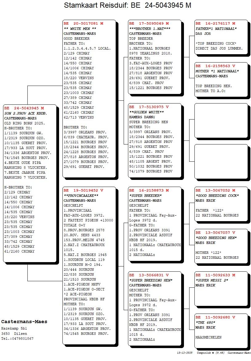 pedigree Son 2° Prov As KBDB 