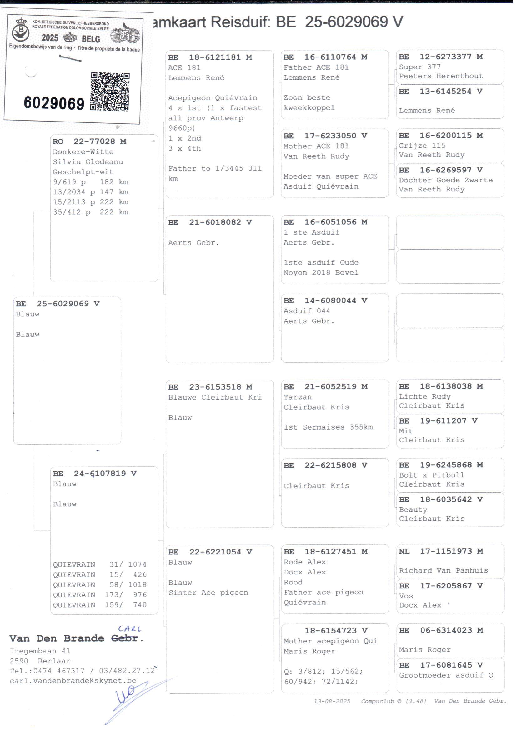pedigree Donkere Witte x Lijn Kris Cleirbaut 