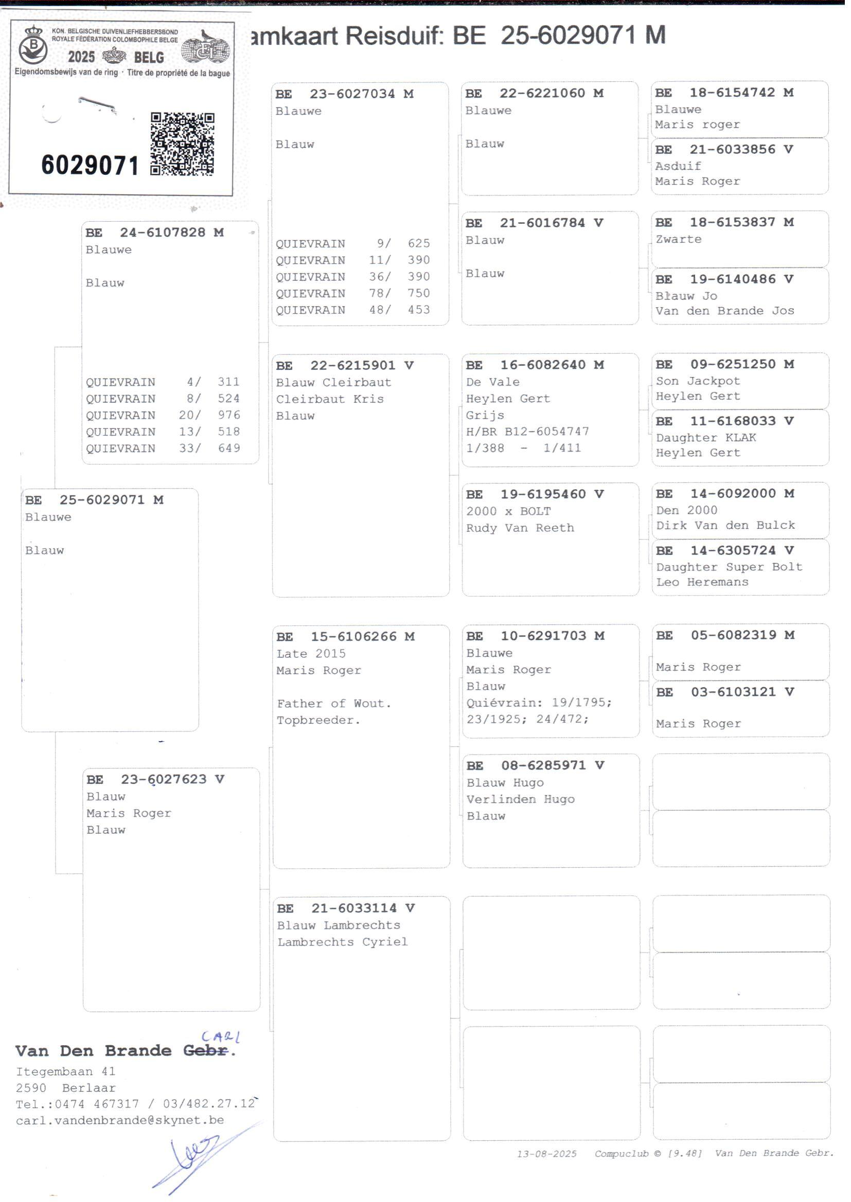 pedigree Lijn Super Bolt x Lijn Maris Roger 