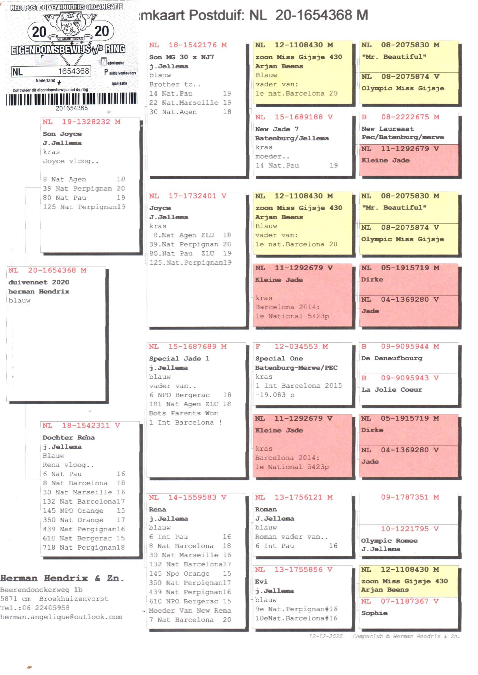 pedigree Son Joyce x Dochter - Original Herman Hendrix & Zn