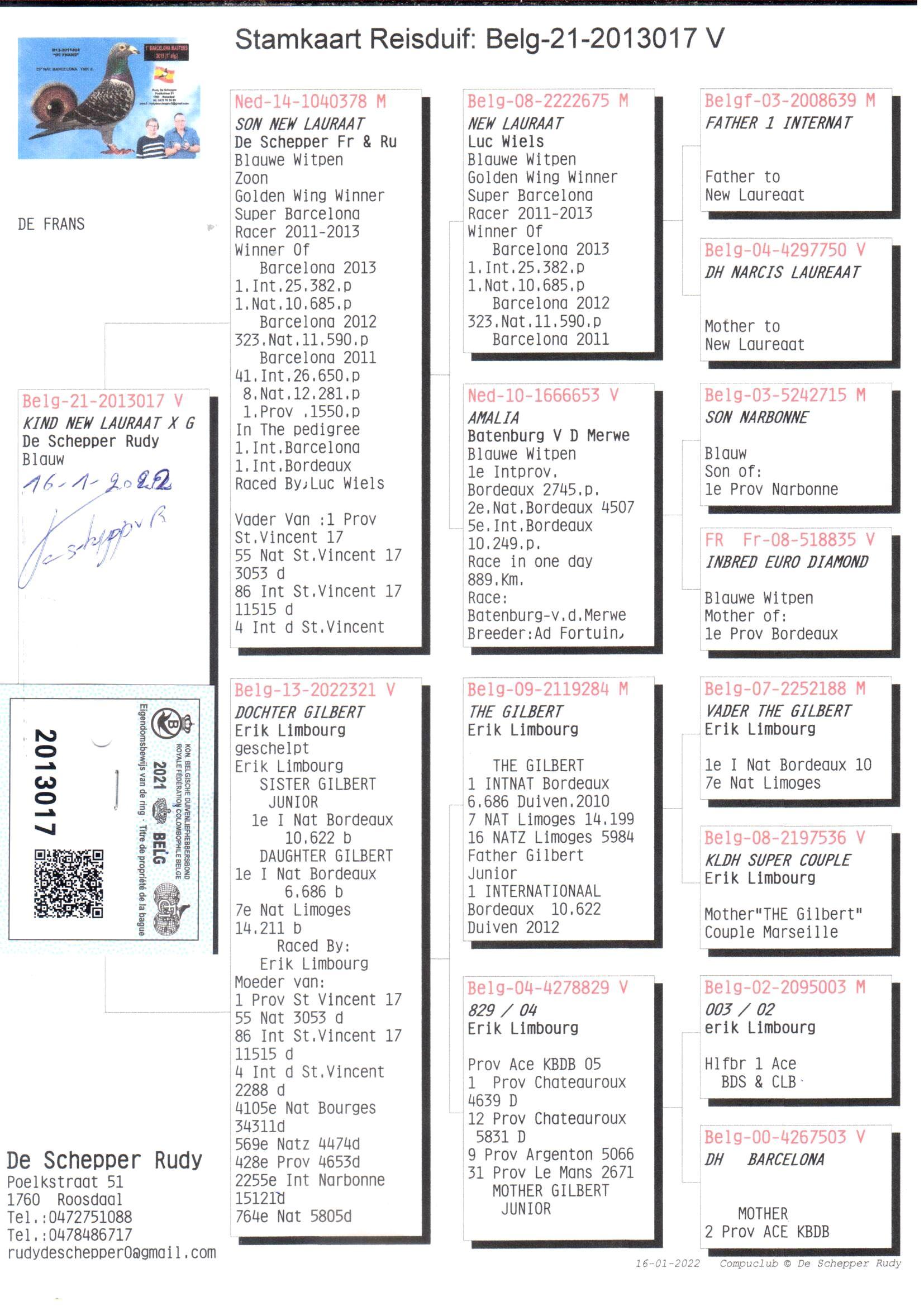 pedigree Son New Laureaat x Dochter Gilbert - Original De Schepper Rudy