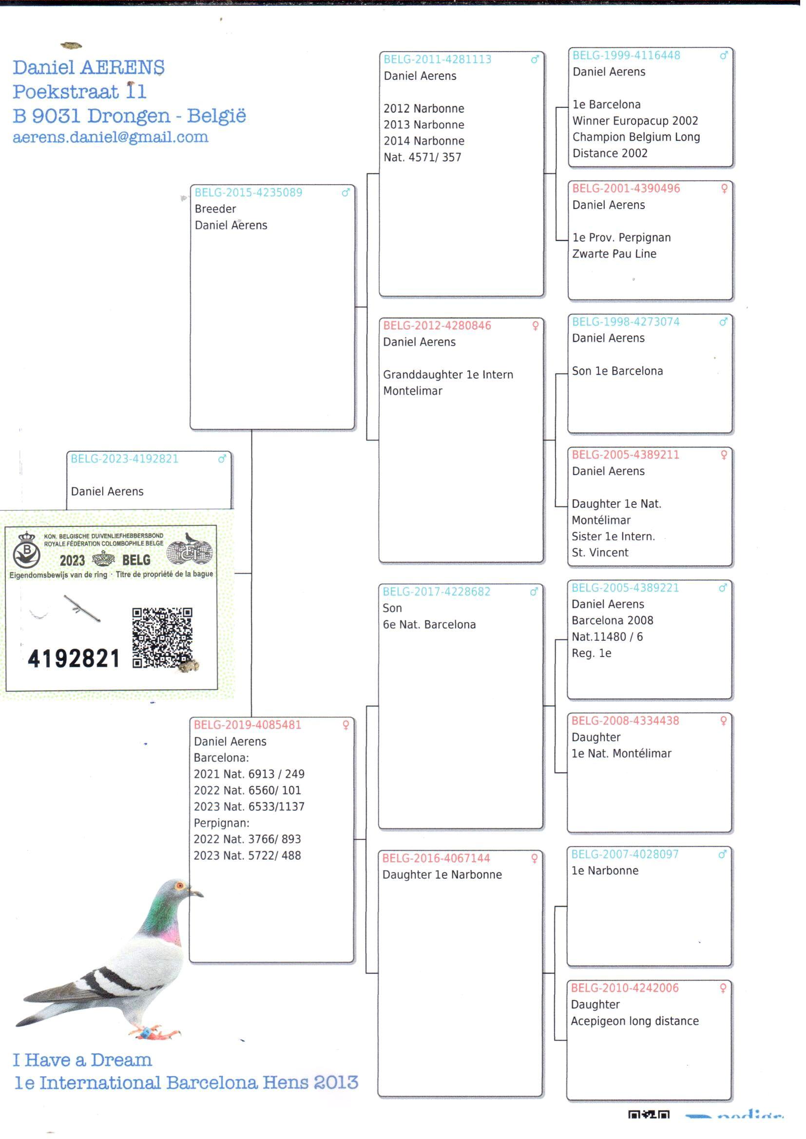 pedigree Zoon kleindochter 1° Inat Montelimar x Kleindochter 1° Narbonne - Original Daniel Aerens