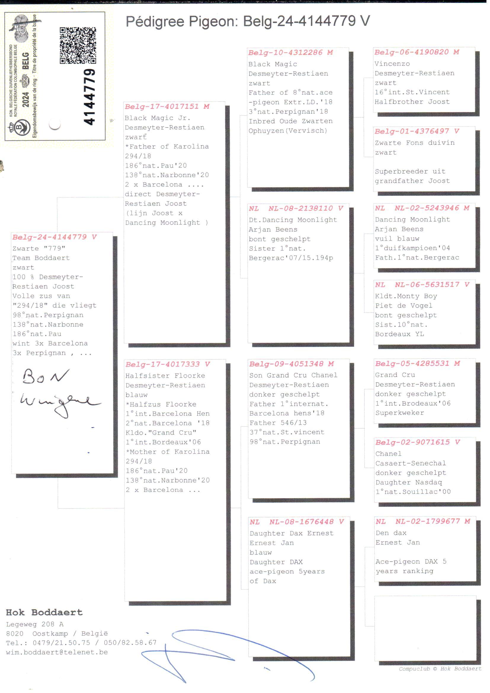 pedigree Zwarte 779 - Original Hok Boddaert