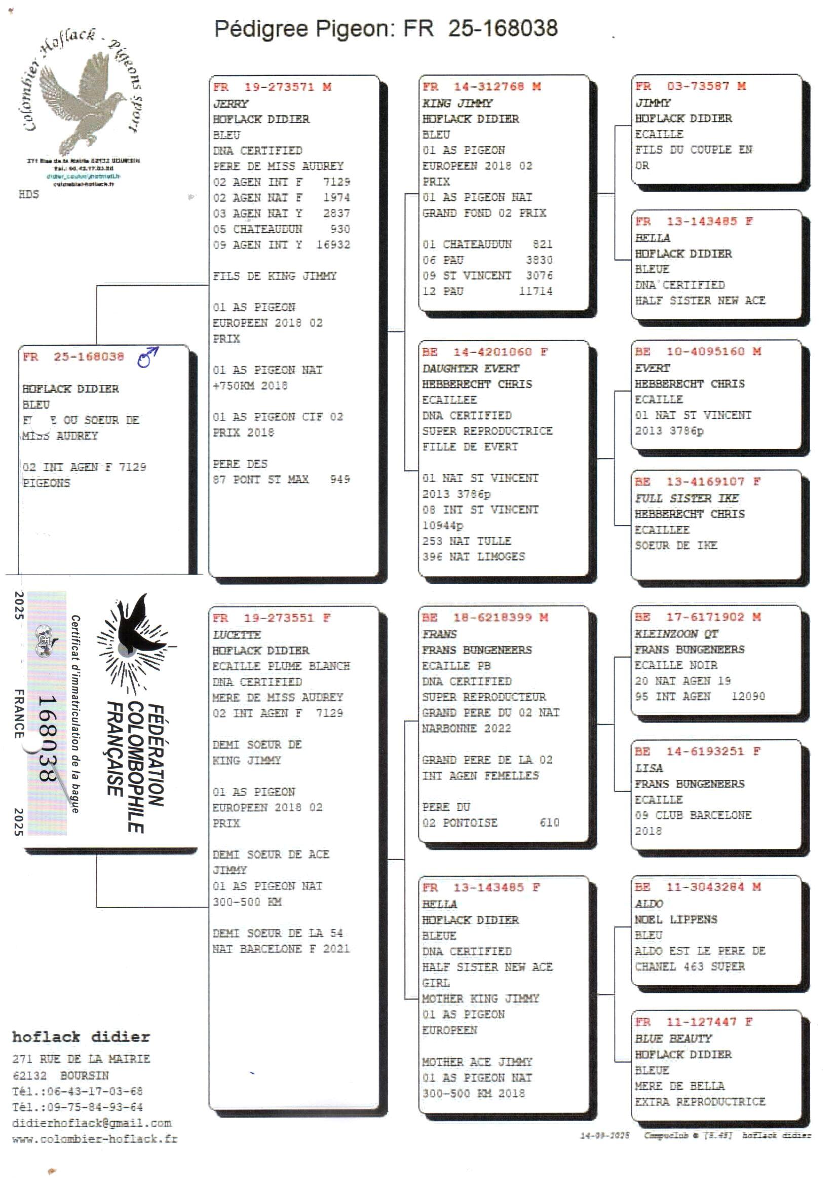 pedigree Jerry x Lucette - Original Hoflack Didier