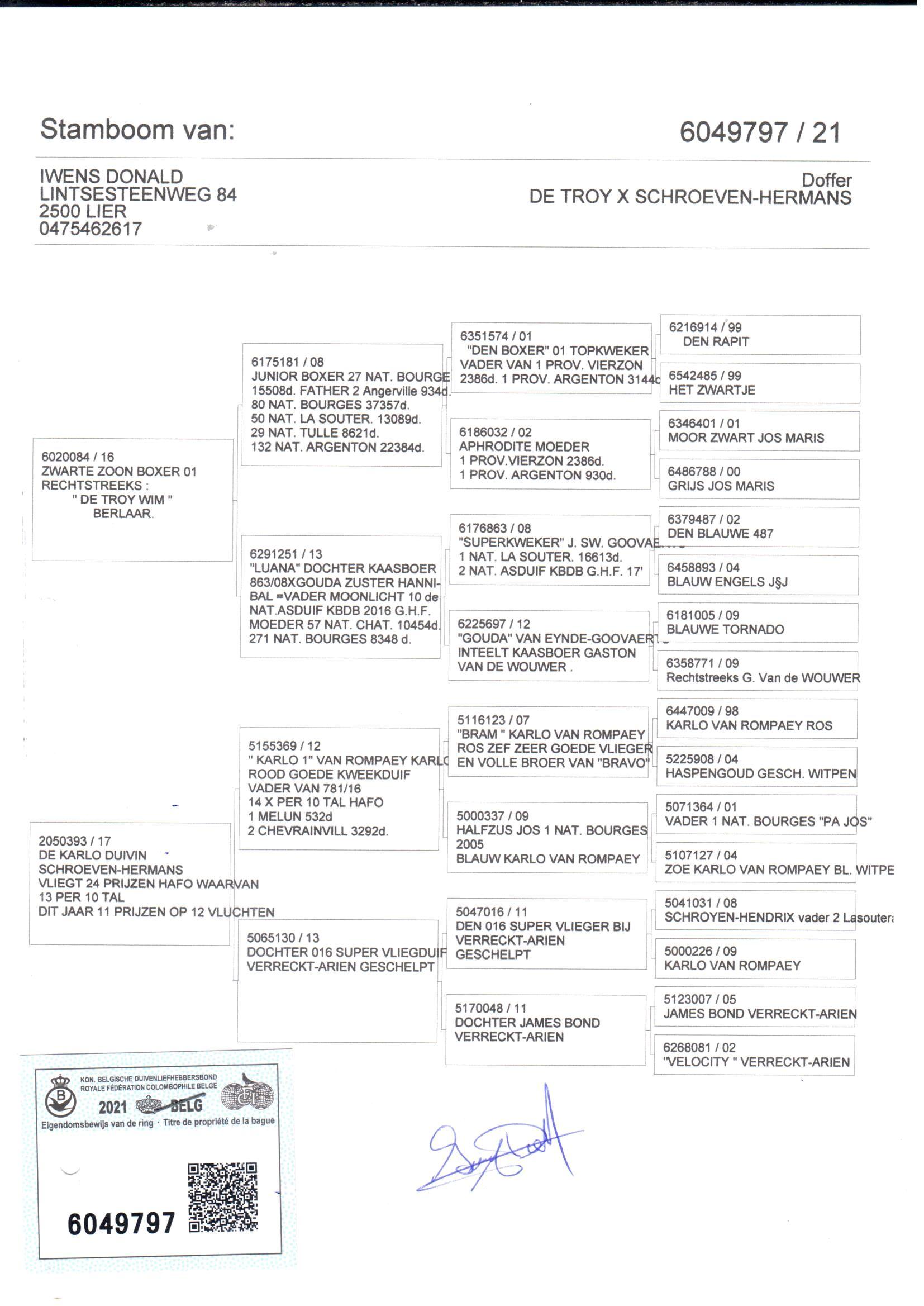 pedigree Zwarte zoon Boxer x De Karlo duivin 