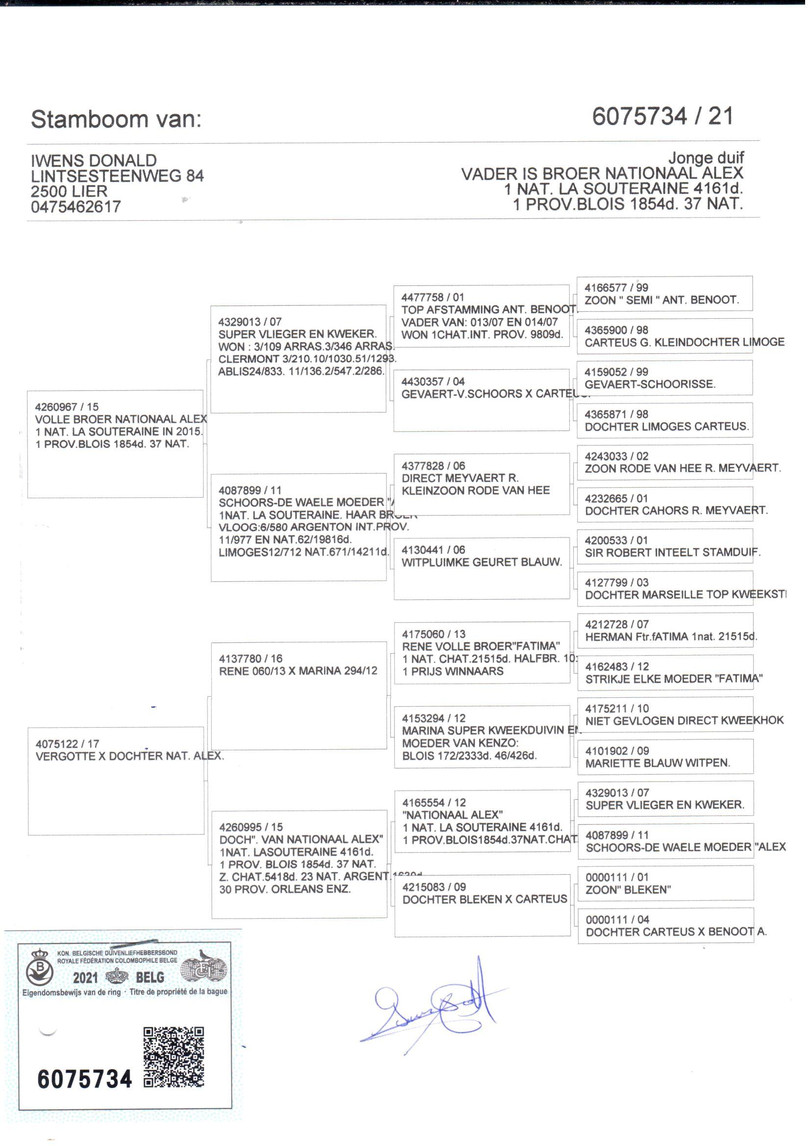 pedigree Broer nationaal Alex x Kleindochter nationaal Alex 