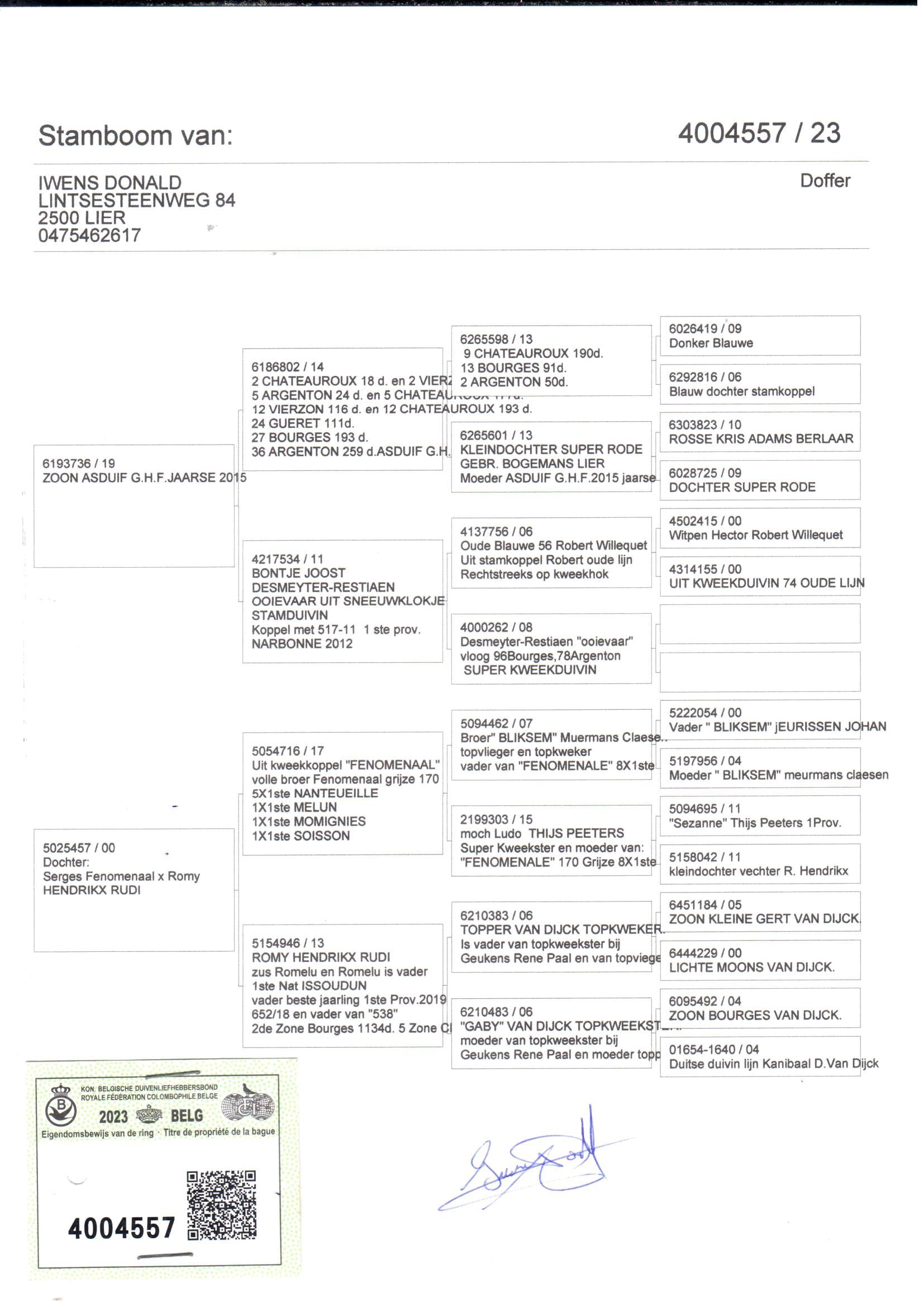 pedigree Zoon As GHF jaarse x Dochter kweekkoppel Fenomenaal 