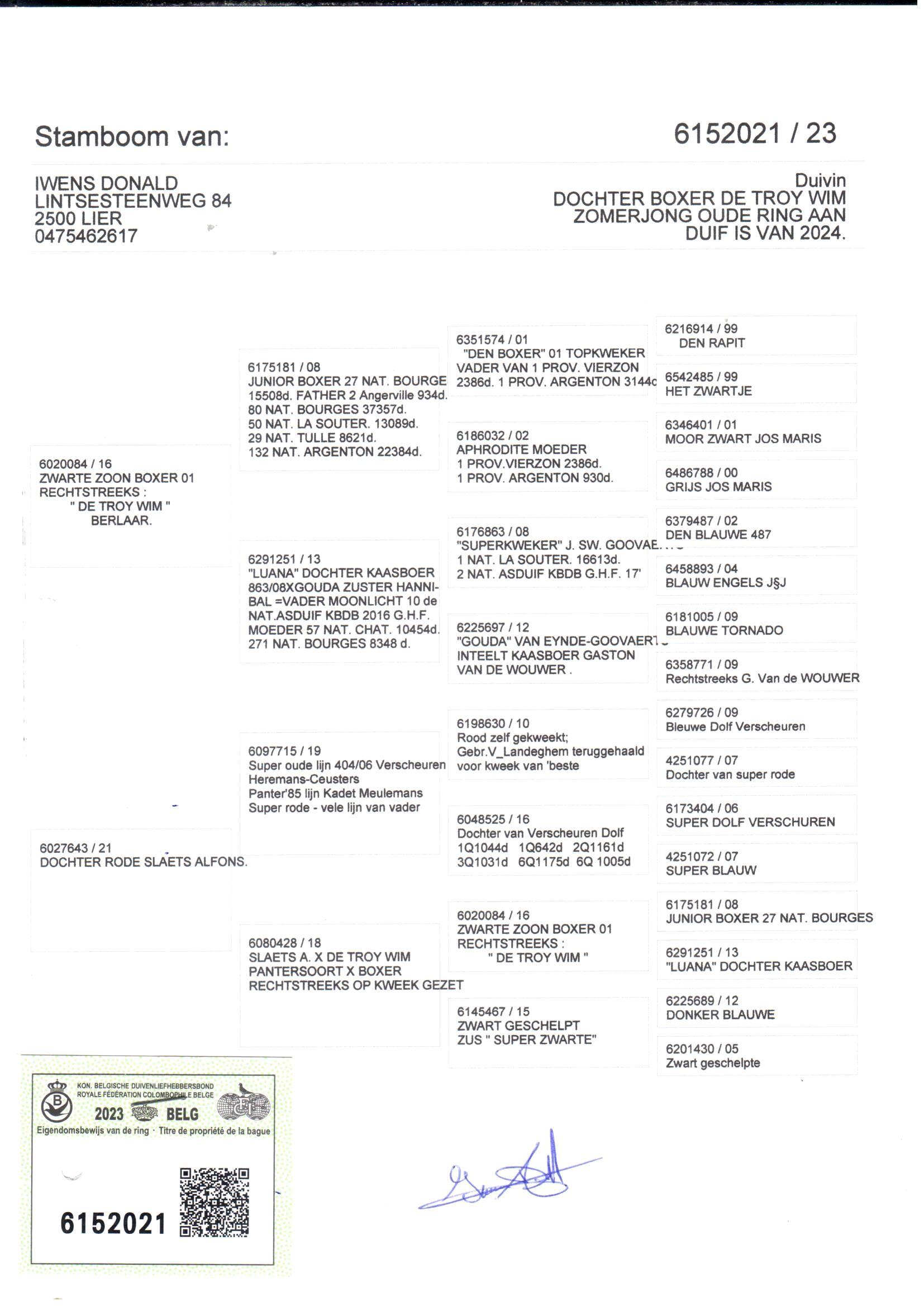 pedigree Zwarte zoon Boxer x Dochter Rode Slaets Alfons 