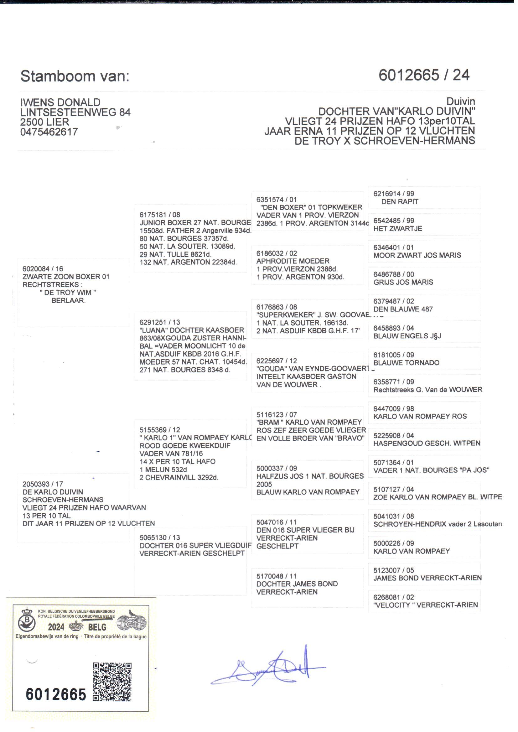 pedigree Zwarte zoon Boxer x De Karlo duivin 