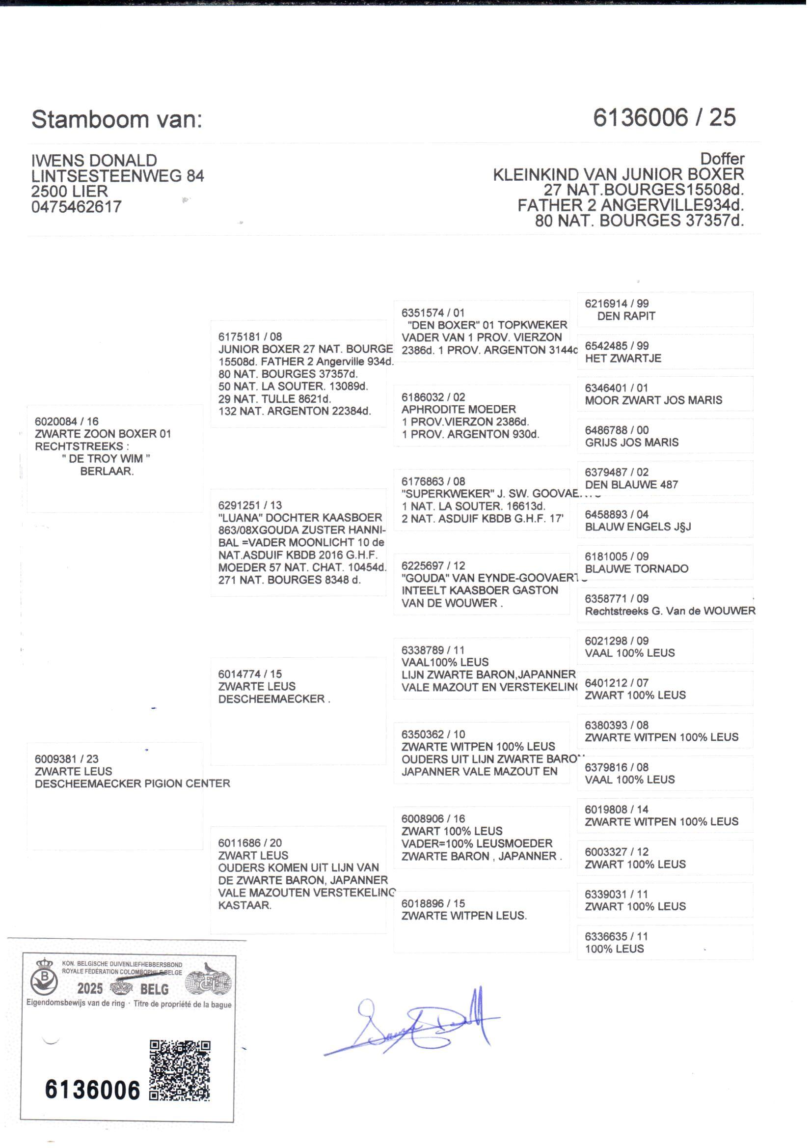 pedigree Zwarte zoon Boxer x Zwarte Leus 