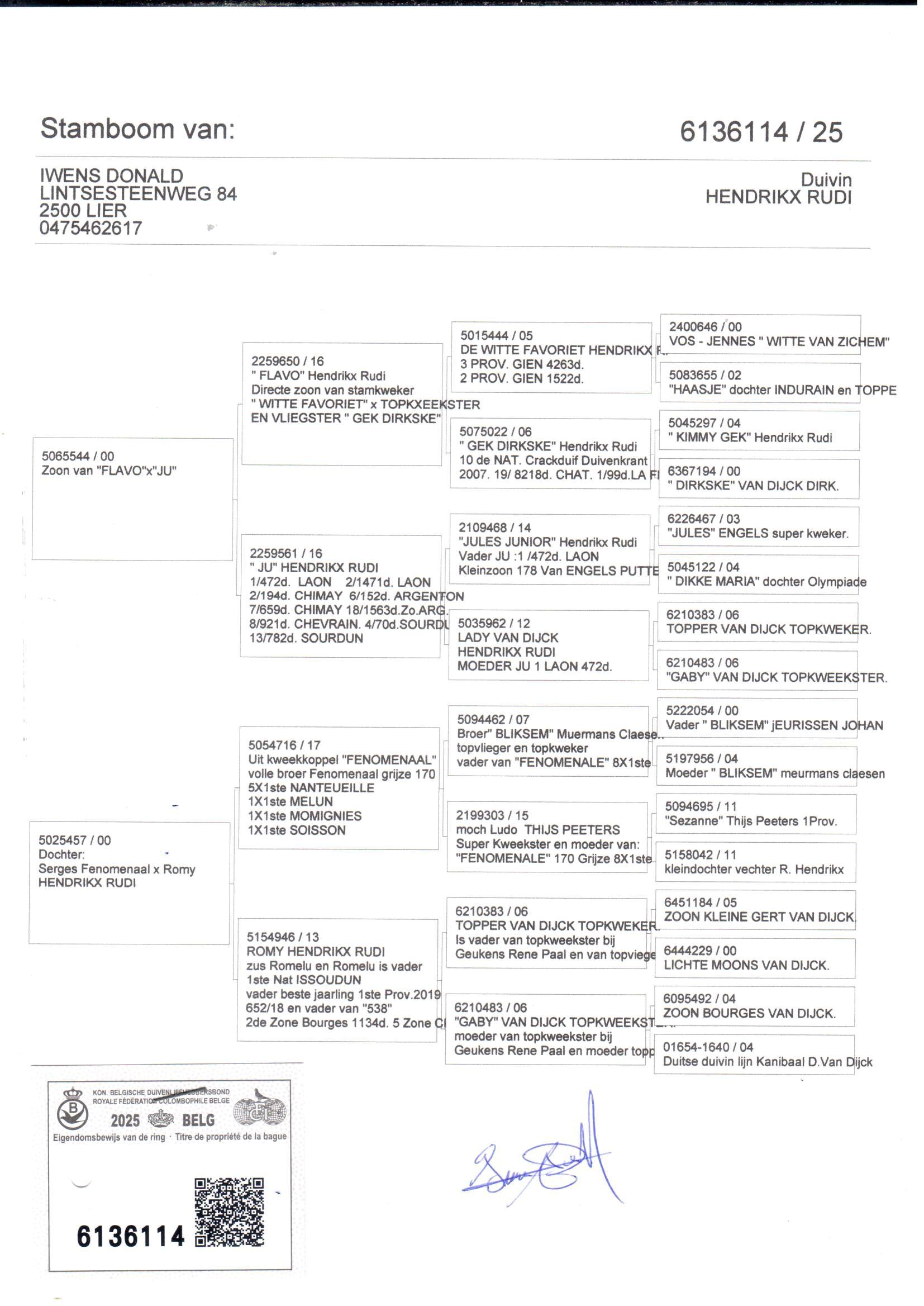 pedigree Zoon Flavo x Dochter kweekkoppel Fenomenaal 