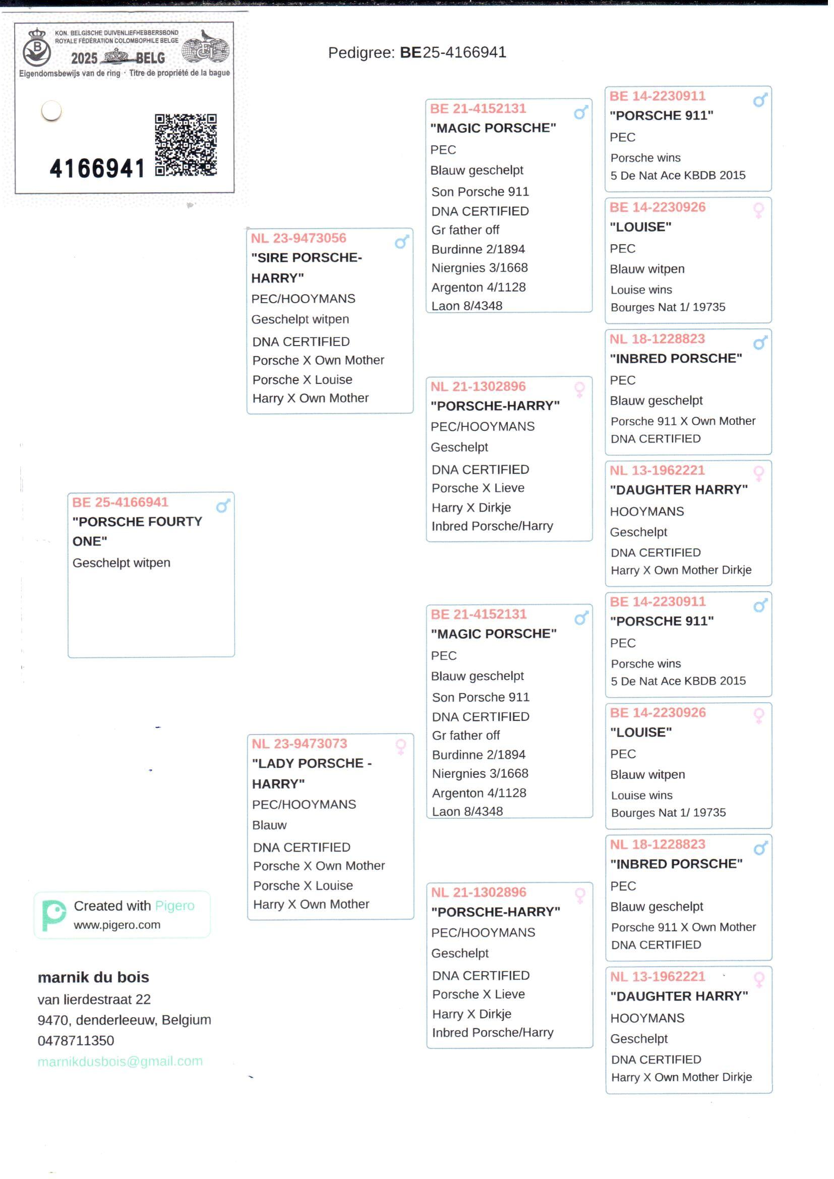 pedigree Porsche Fourty One 