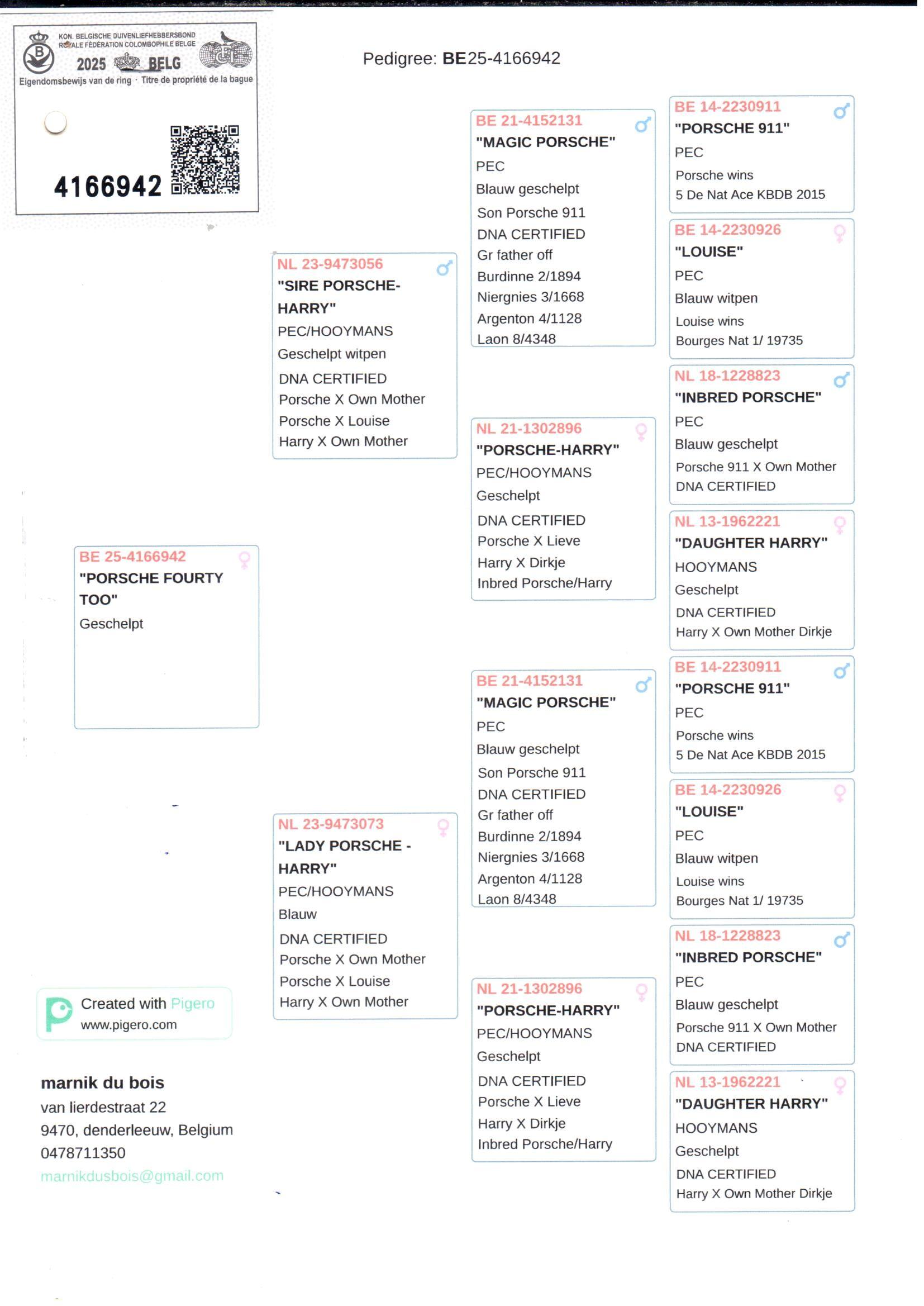 pedigree Porsche Fourty Too 