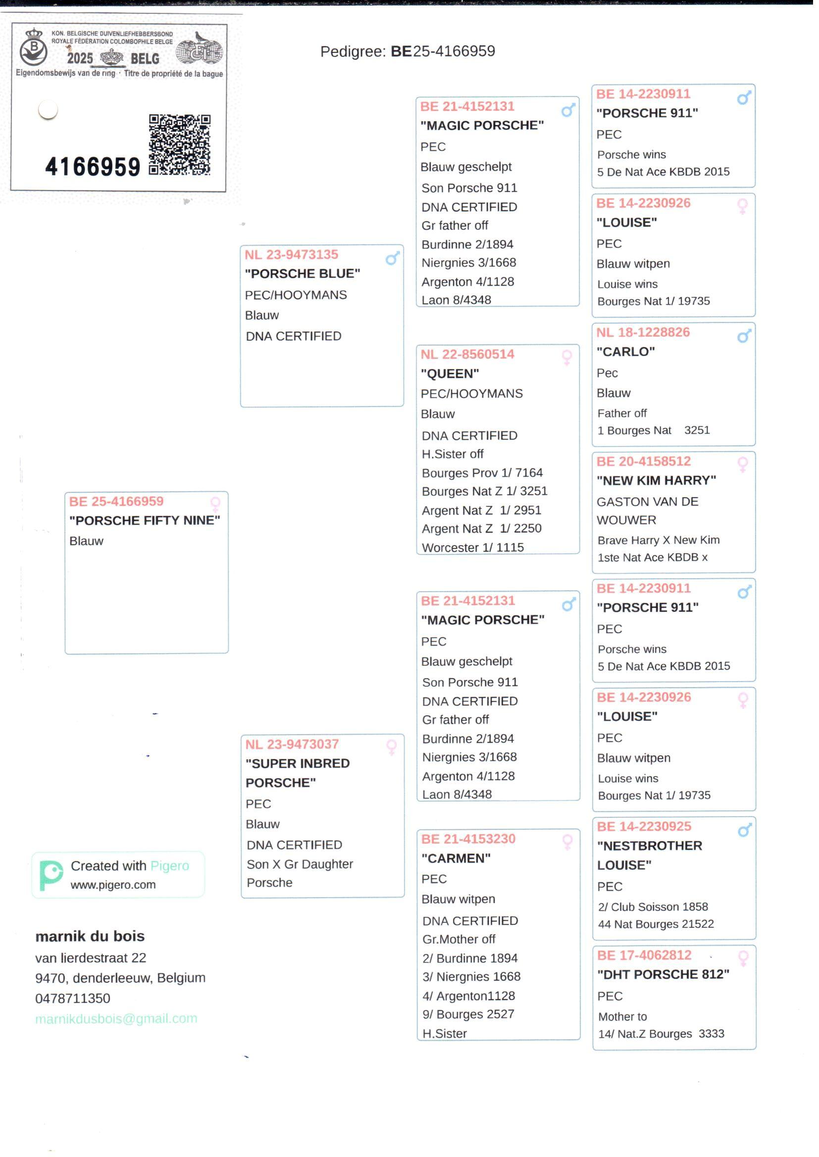 pedigree Porsche Fifty Nine 