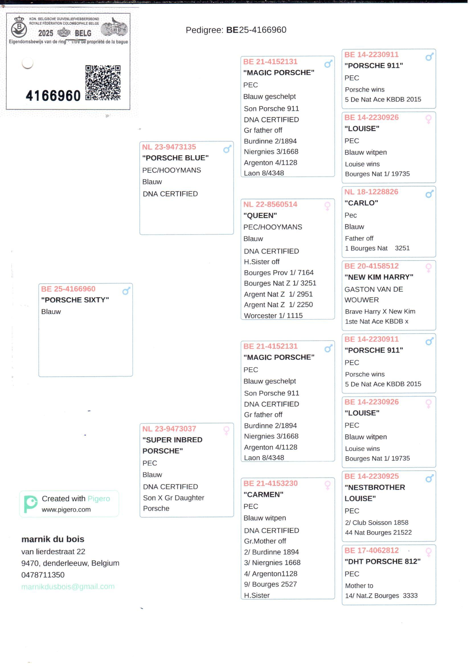 pedigree Porsche Sixty 
