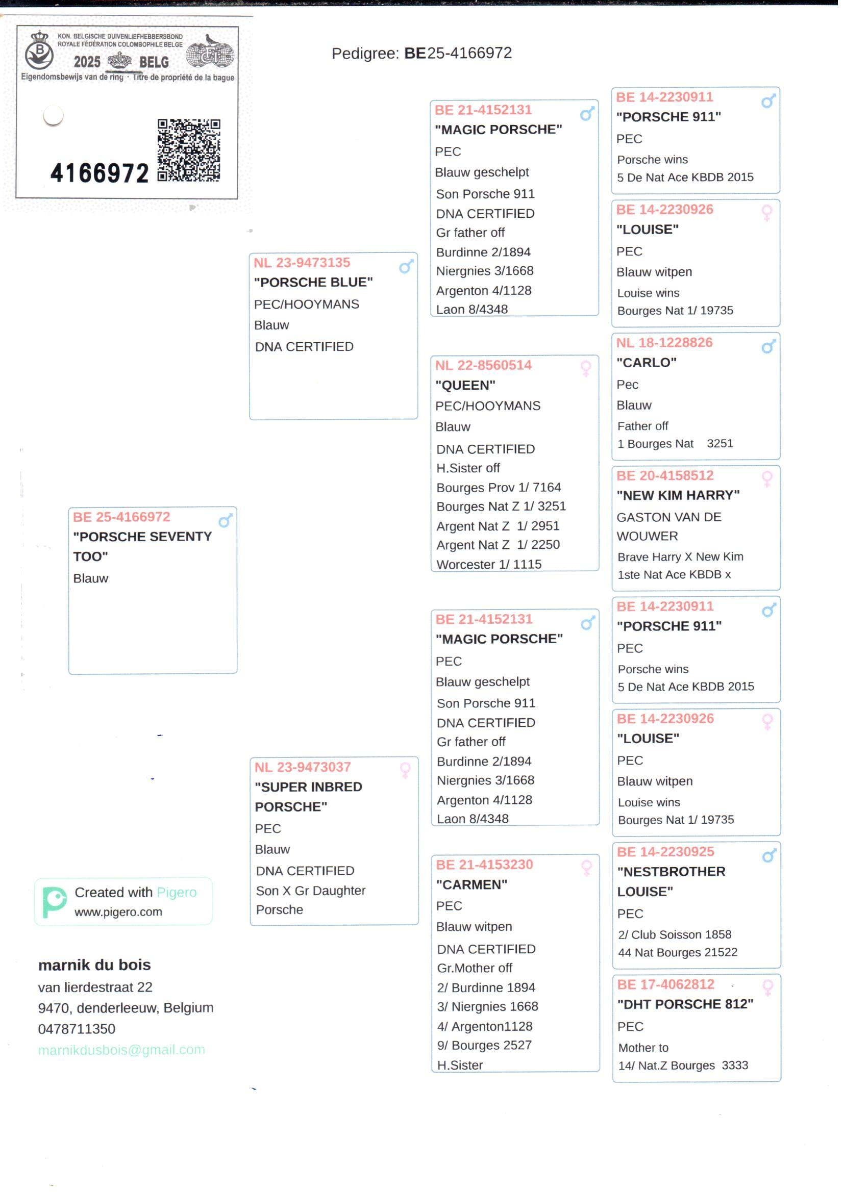 pedigree Porsche Seventy Too 
