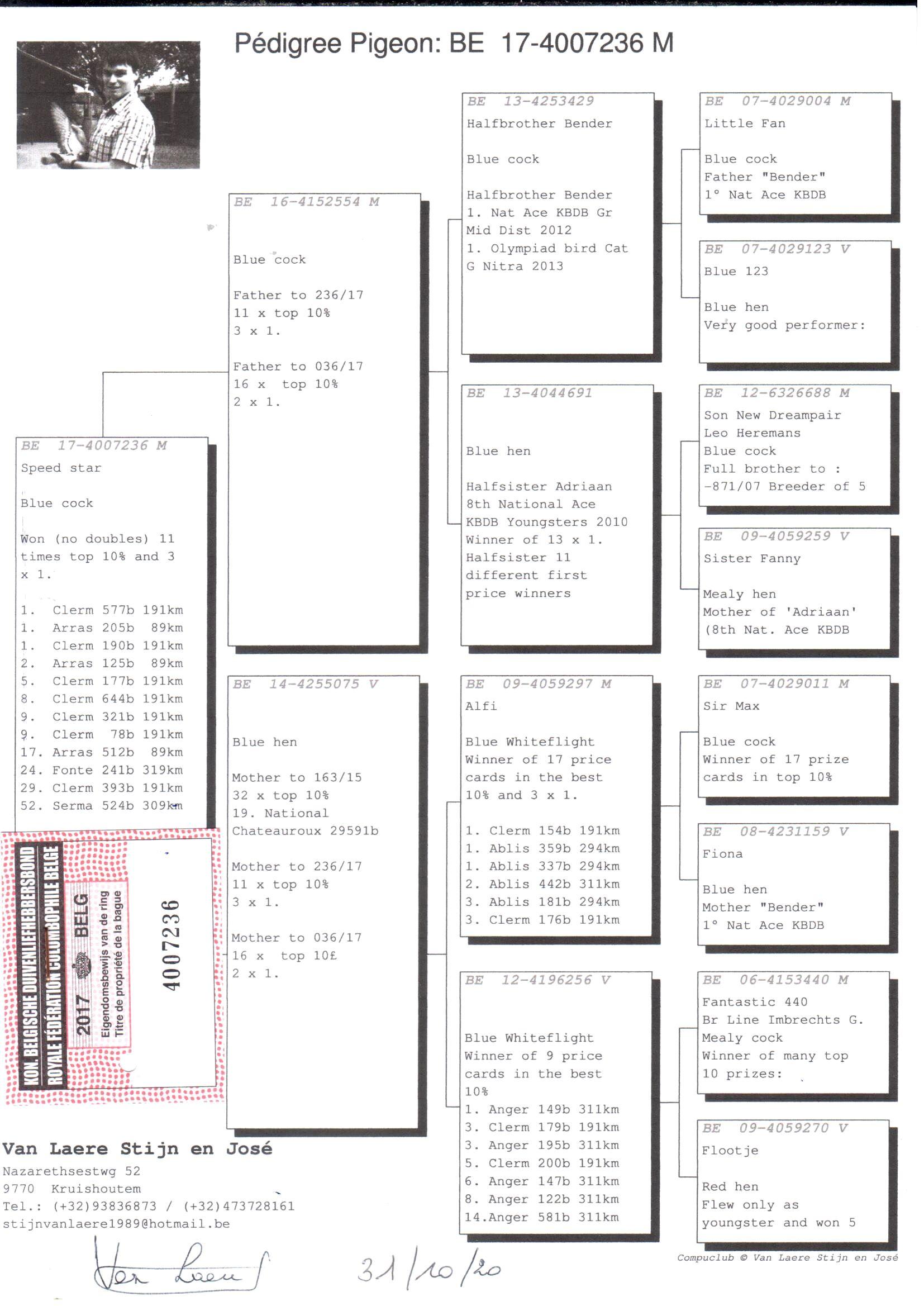 pedigree Speed Star - Original Van Laere Stijn en José