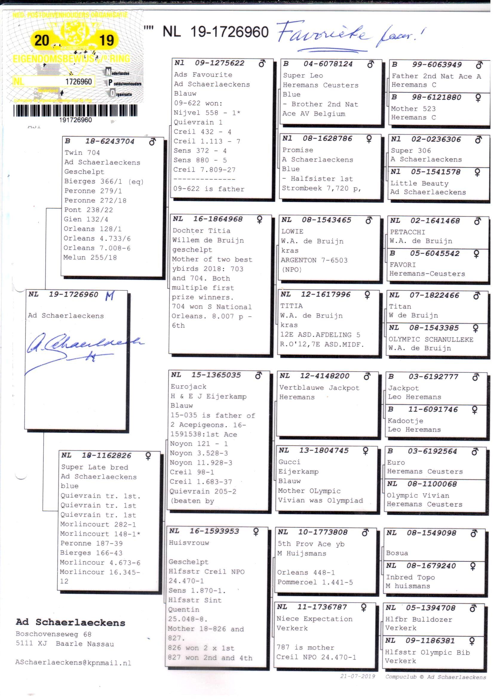 pedigree Twin 704 x Dochter Eurojack - Original Ad Schaerlaeckens