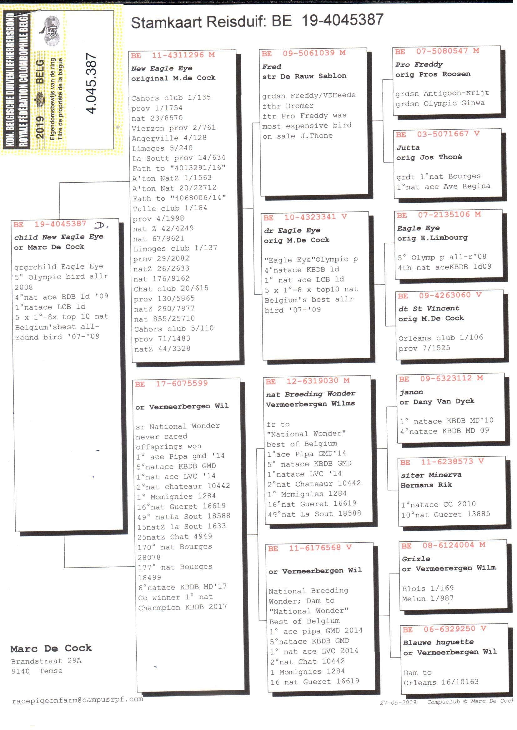 pedigree Child New Eagle Eye - Original Marc De Cock
