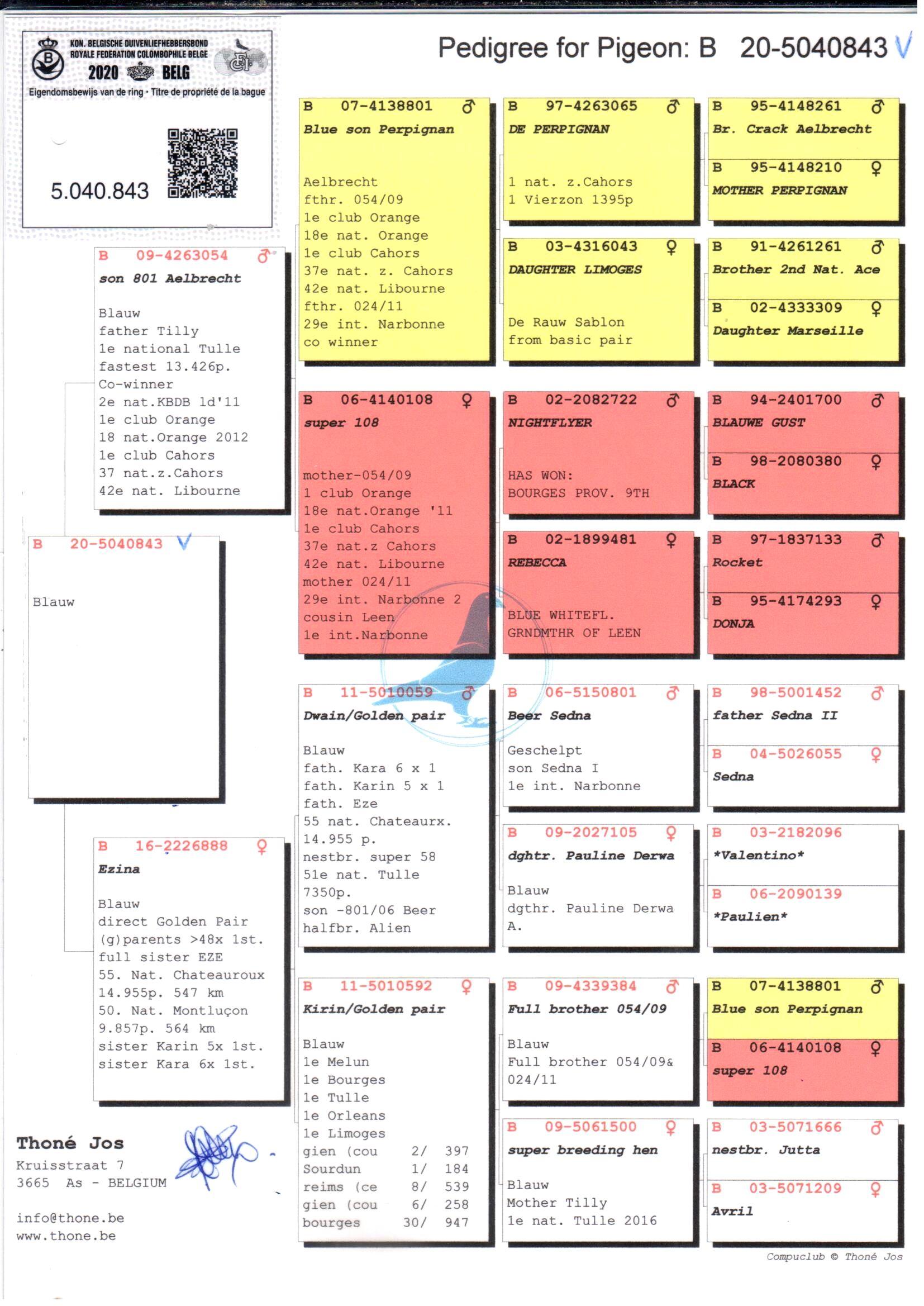 pedigree Son 801 Aelbrecht x Exina - Original Thoné Jos