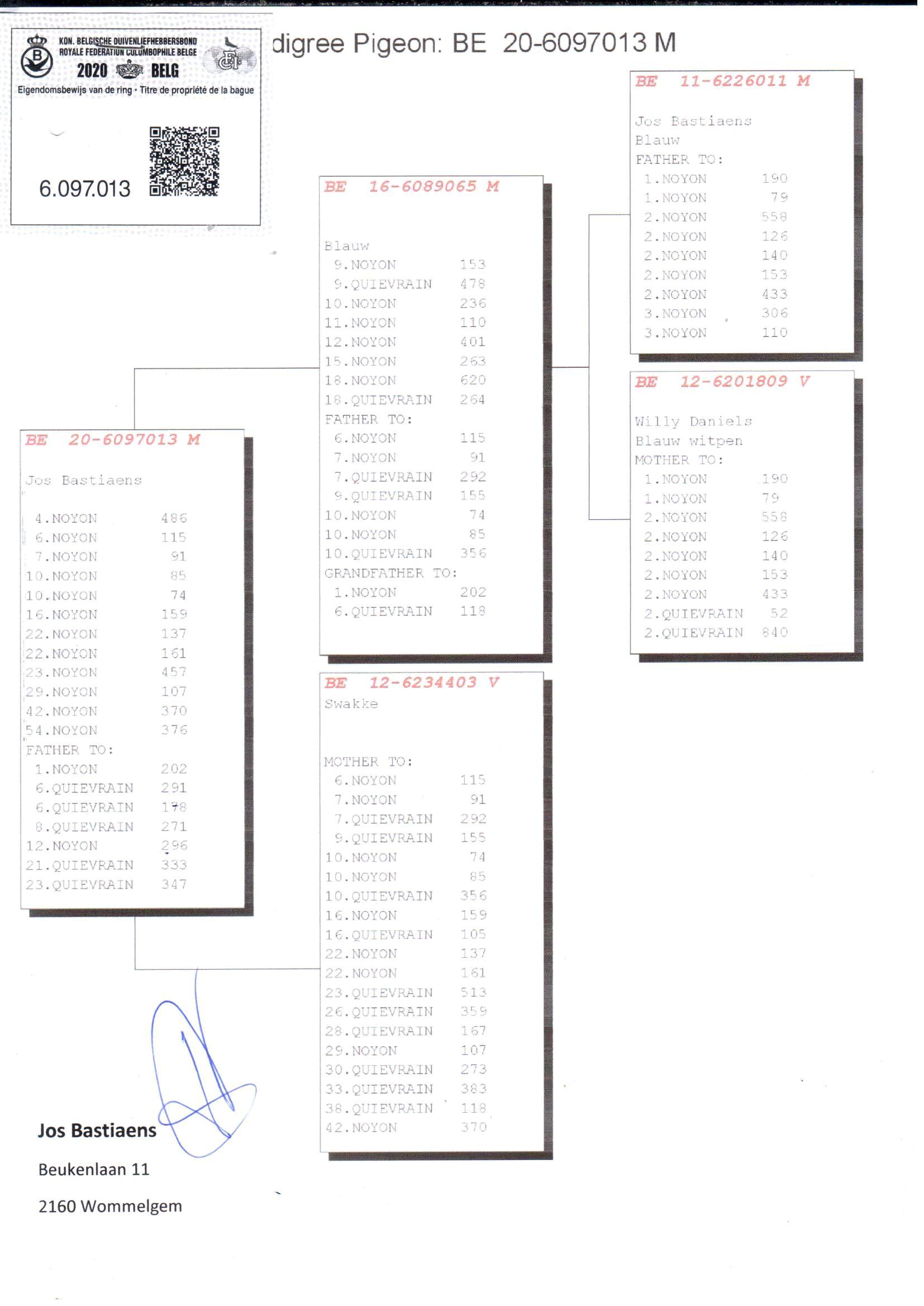 pedigree 013 Jos Bastiaens - Original Jos Bastiaens
