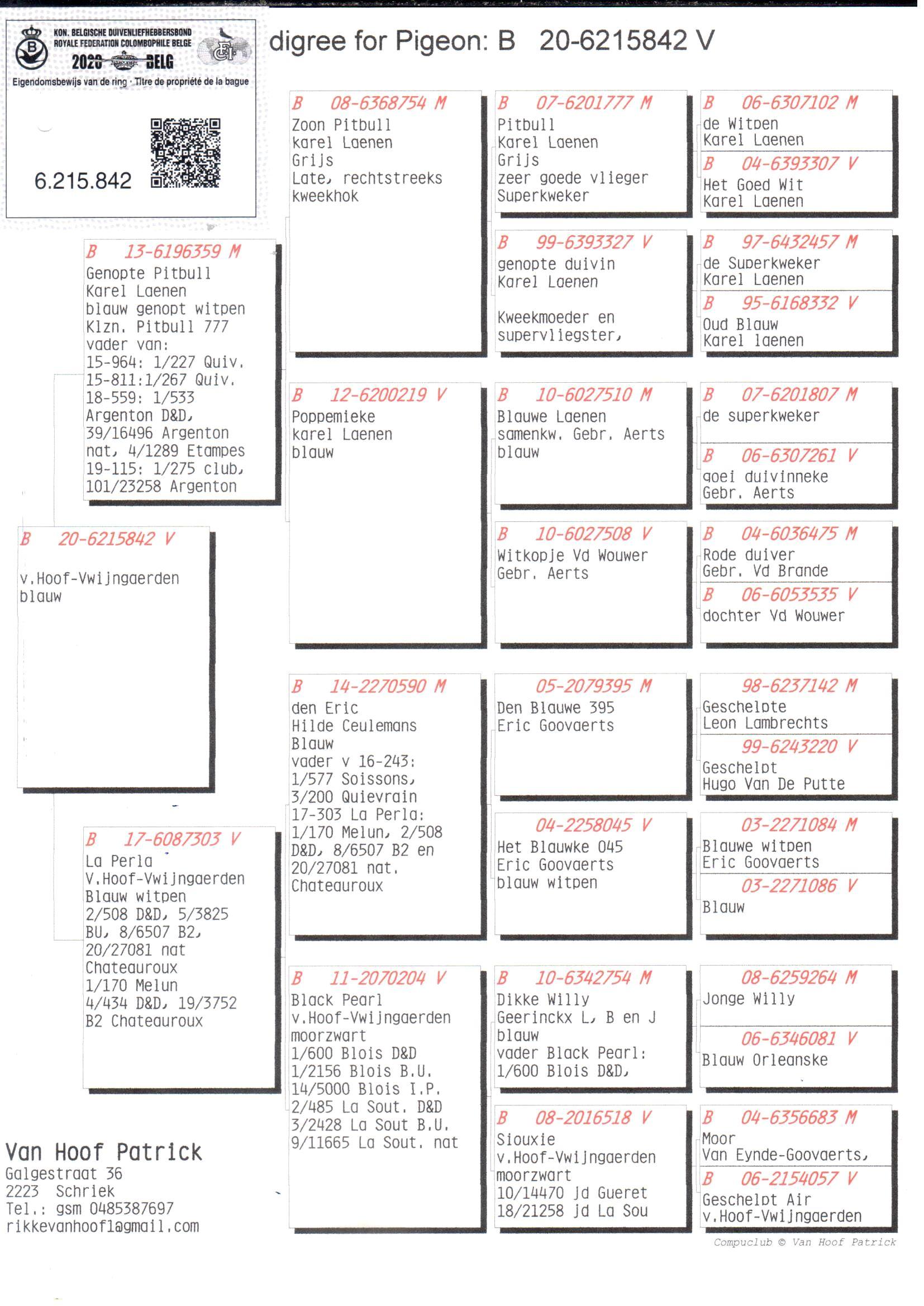 pedigree Genopte Pitbull x La Perla - Original Van Hoof Patrick