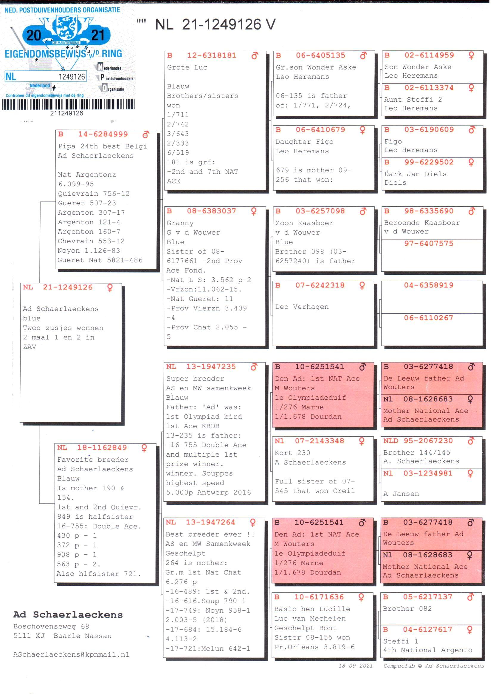pedigree Zoon Grote Luc x Favorite Breeder - Original Ad Schaerlaeckens