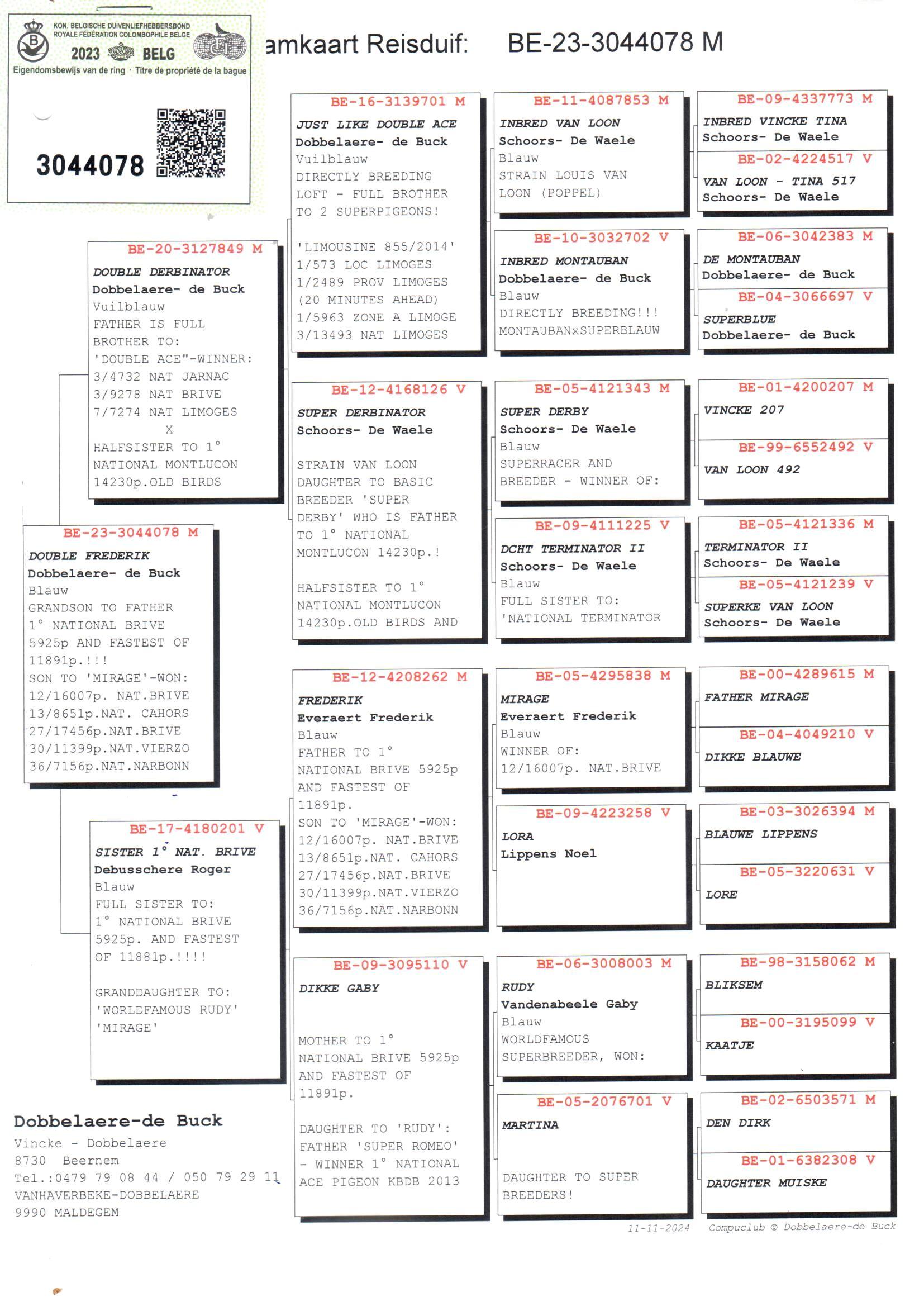 pedigree Double Frederik - Original Dobbelaere-De Buck