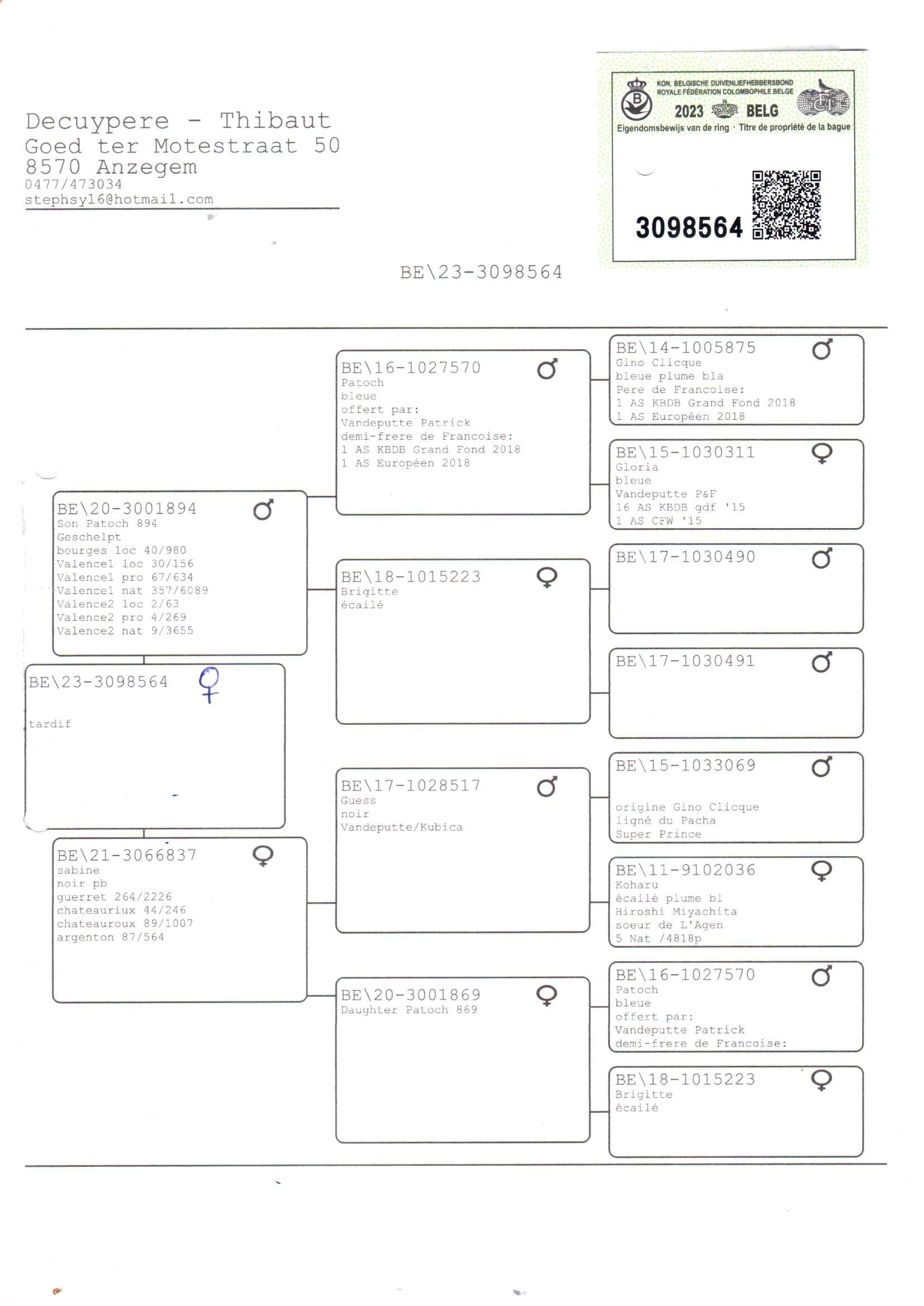 pedigree Dochter 9e Nat Valence - Original Decuypere-Thibaut