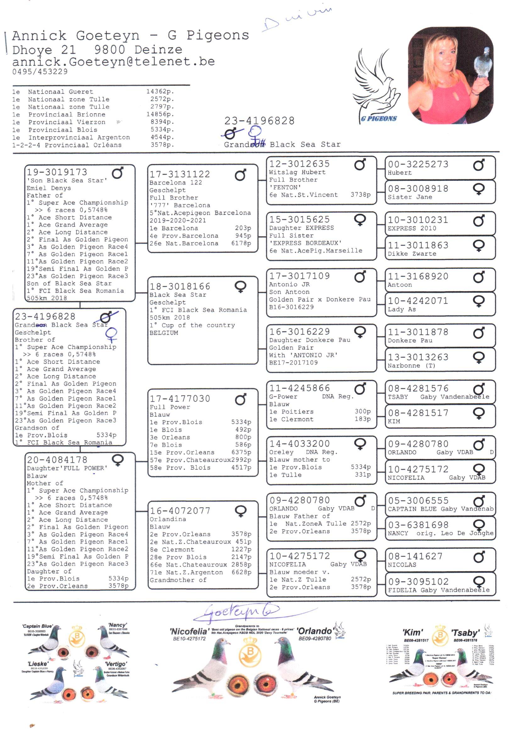 pedigree Granddaughter Black Sea Star - Original Annick Goeteyn